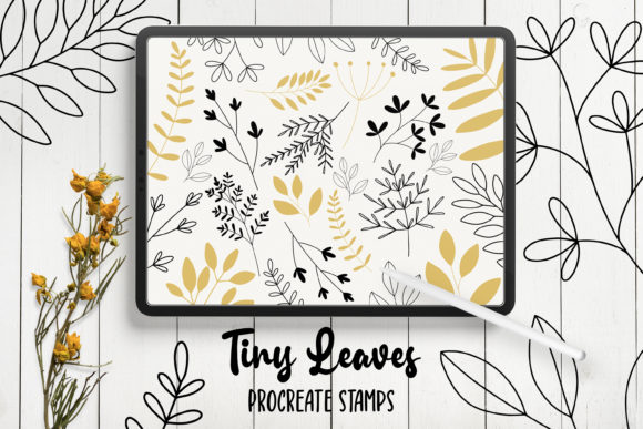 Download Hand Drawn Leaves Procreate Stamps - Leaves procreate stamps Collection